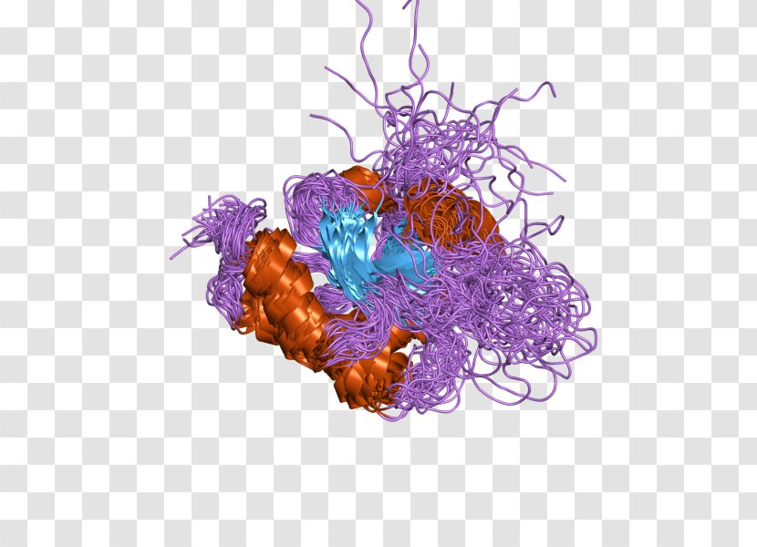SCO1 SCO2 Protein Organism Mitochondrial Disease - Homo Sapiens - Violet Transparent PNG