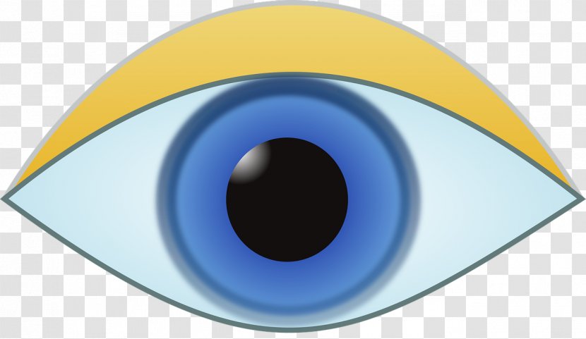 Iris - Pupil - Eye Transparent PNG