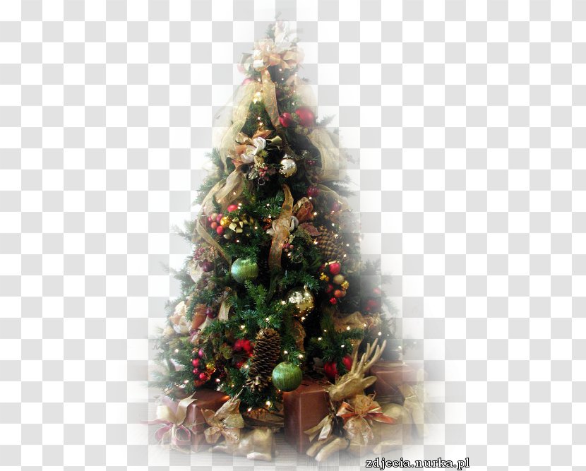 Christmas Tree Fir Ornament Santa Claus - Pine Family Transparent PNG