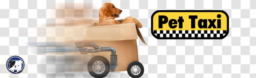 Pet Taxi Sitting Cat - Golden Retriever - Late Hours Transparent PNG