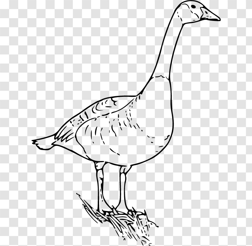 Canada Goose Clip Art - Vector Simple Transparent PNG