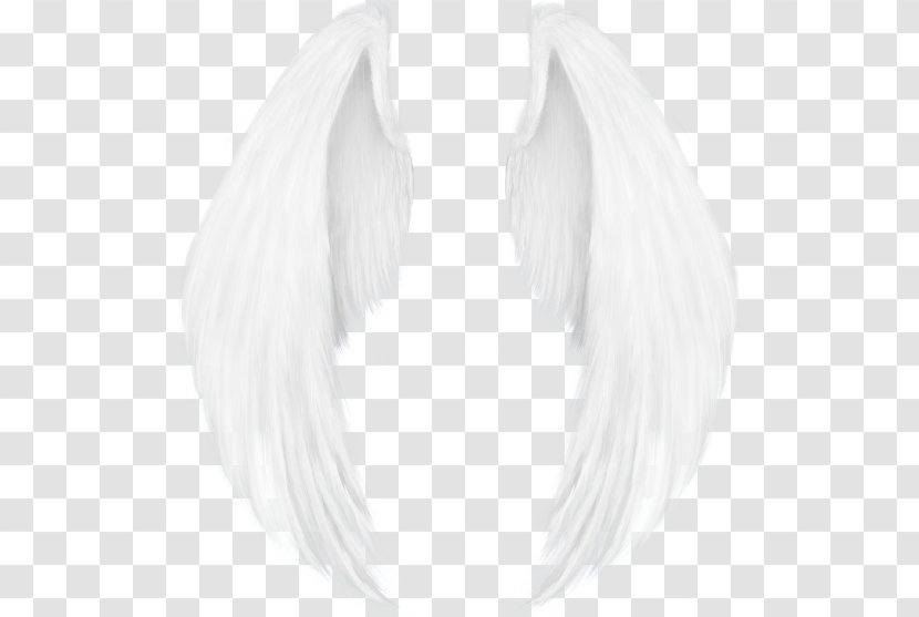 White Neck Angel M - Ham Transparent PNG