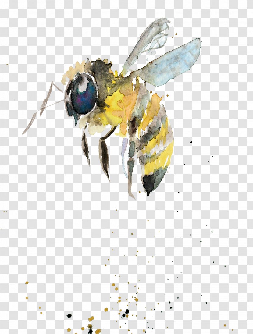 Bumblebee Watercolor Painting Drawing Insect - Color - Gift Transparent PNG