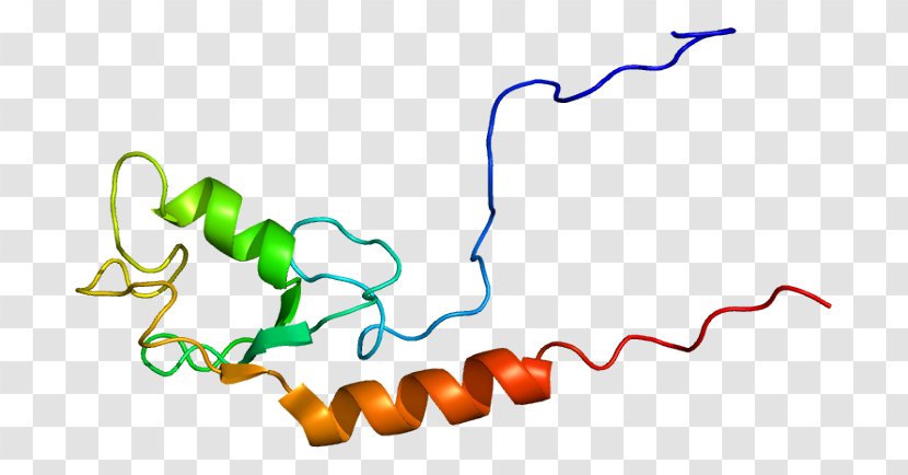 UBE4A Protein Gene Human Ubiquitination - Organism Transparent PNG