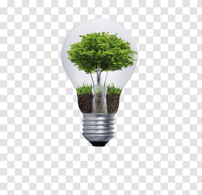 Natural Environment Environmental Degradation Consulting Sustainability Incandescent Light Bulb - Ecology - A Transparent PNG