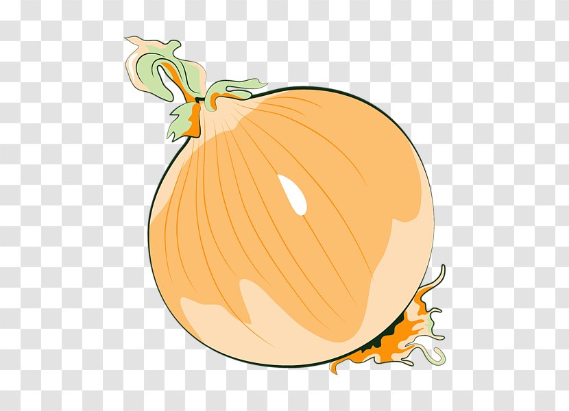 Calabaza Yellow Onion Vegetable - Food Transparent PNG