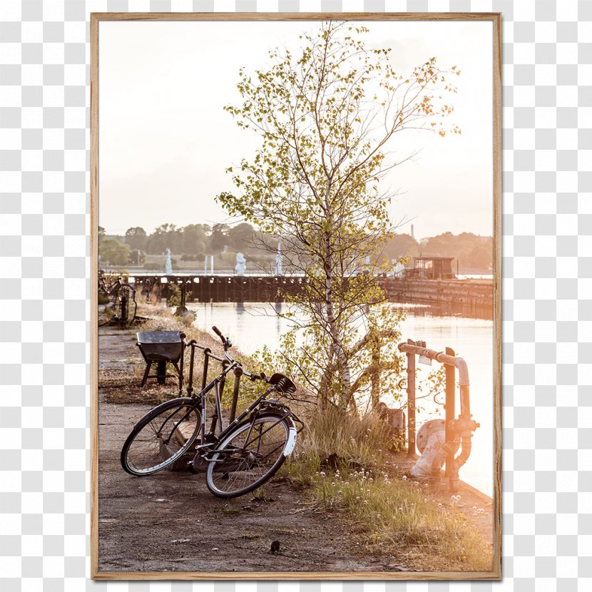 Foto Factory Poster Photography Refshaleøen, Copenhagen - Art - Bicycle Transparent PNG