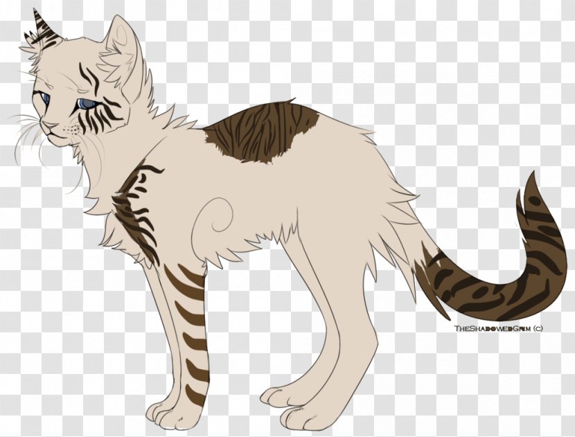 Cat Kitten Mammal Whiskers Carnivora - Carnivoran - Auction Transparent PNG