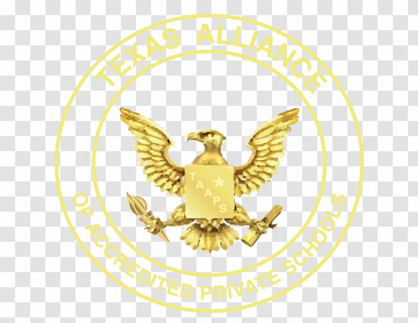 United States Bald Eagle Symbol - Military - Academic Symbols Transparent PNG