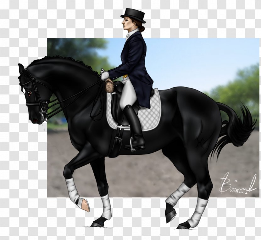 Hunt Seat Stallion Rein Equestrian Horse - Tack Transparent PNG