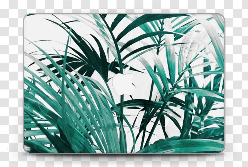 Mac Book Pro MacBook Air IPhone X IPad - Flora - Macbook Transparent PNG