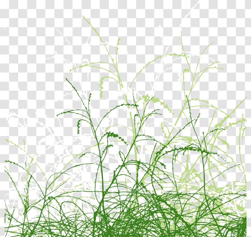 Drawing Illustration - Royaltyfree - Grass Swaying In The Wind Transparent PNG