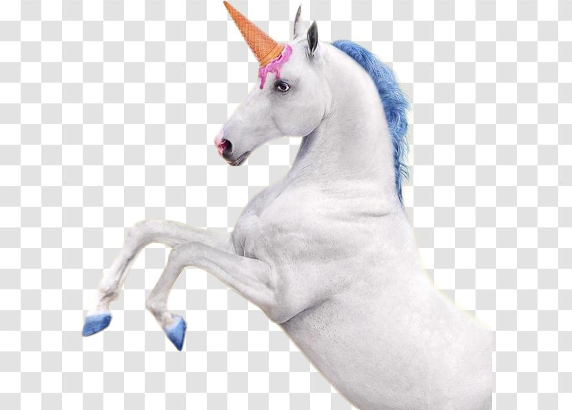 IPhone 7 8 Plus X Unicorn - Horse Transparent PNG