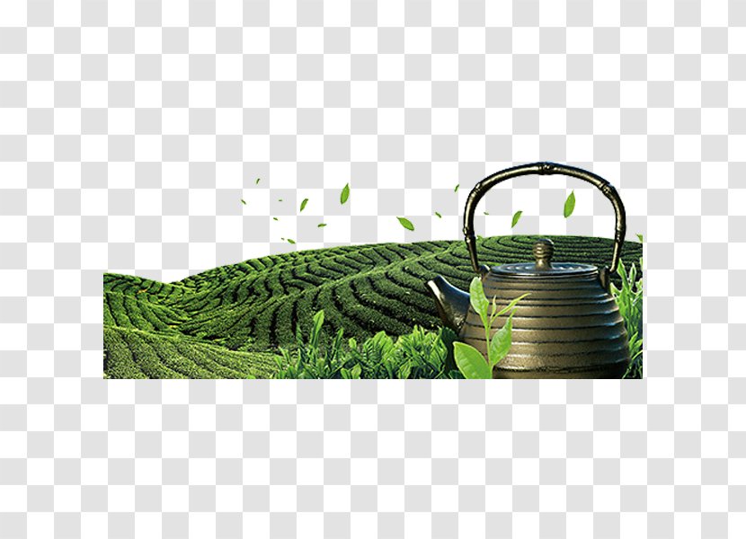 Tea Garden Download - Grass - Green Transparent PNG