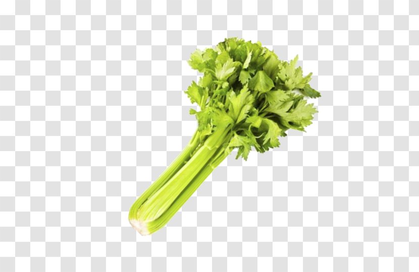 Celery Spring Greens Vegetable Rapini Lettuce Transparent PNG