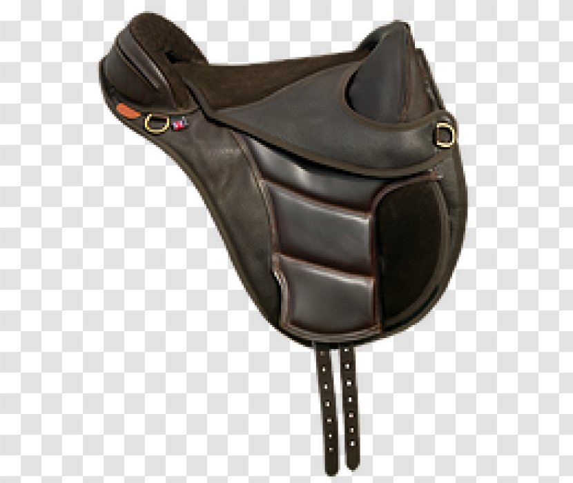 Treefree Saddles, Treeless Exmoor Bicycle Saddles Leather - Vertebral Column - Dartmoor Transparent PNG