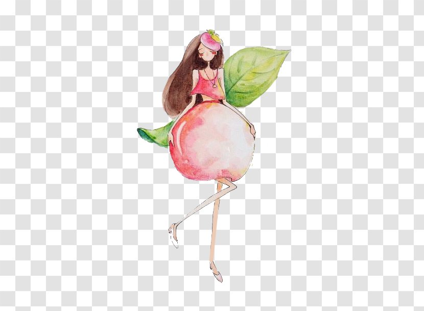 Drawing Fruit Peach - Frame - Cartoon Skirt Transparent PNG