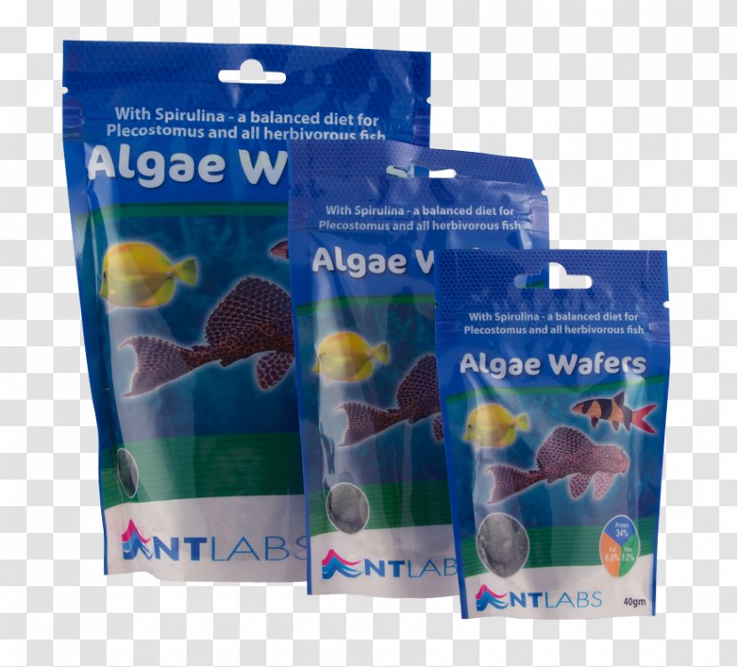Plastic Water Algae NT Labs Transparent PNG