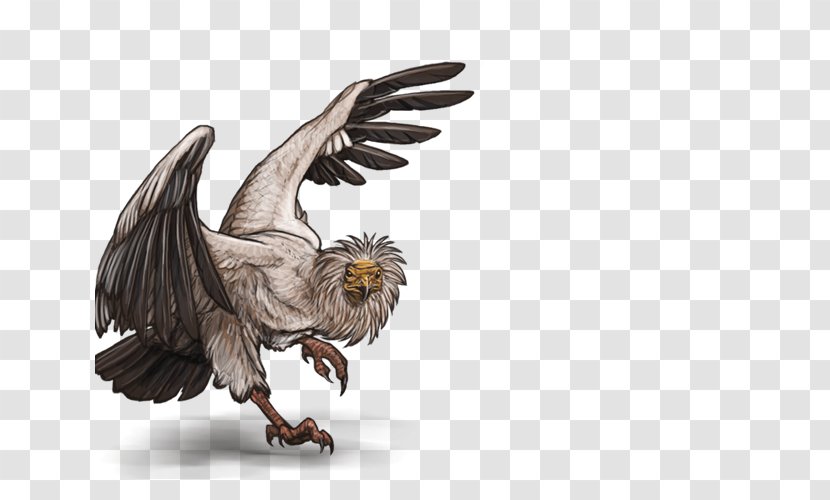 Bald Eagle Lion Bird Egyptian Vulture Transparent PNG