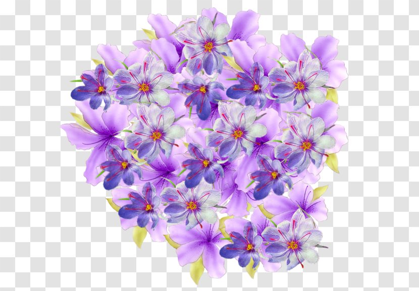 Flower Animation Floral Design Odnoklassniki - Lilac Transparent PNG