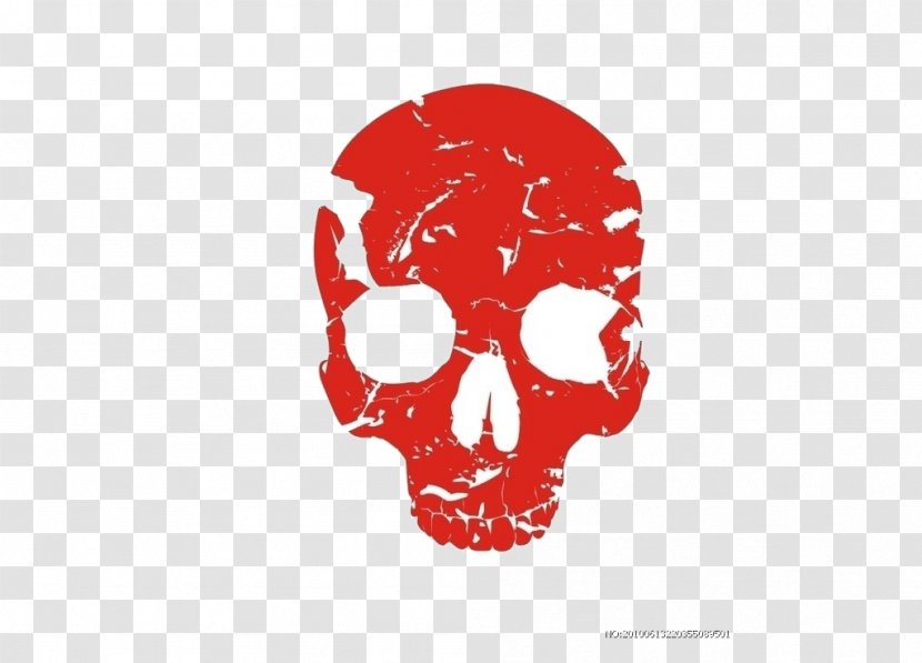 Skull Human Skeleton Bone - Head Transparent PNG