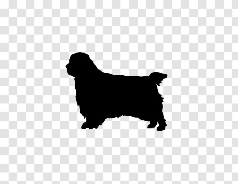 Dog Breed Clumber Spaniel English Cocker American Water - Puppy Transparent PNG