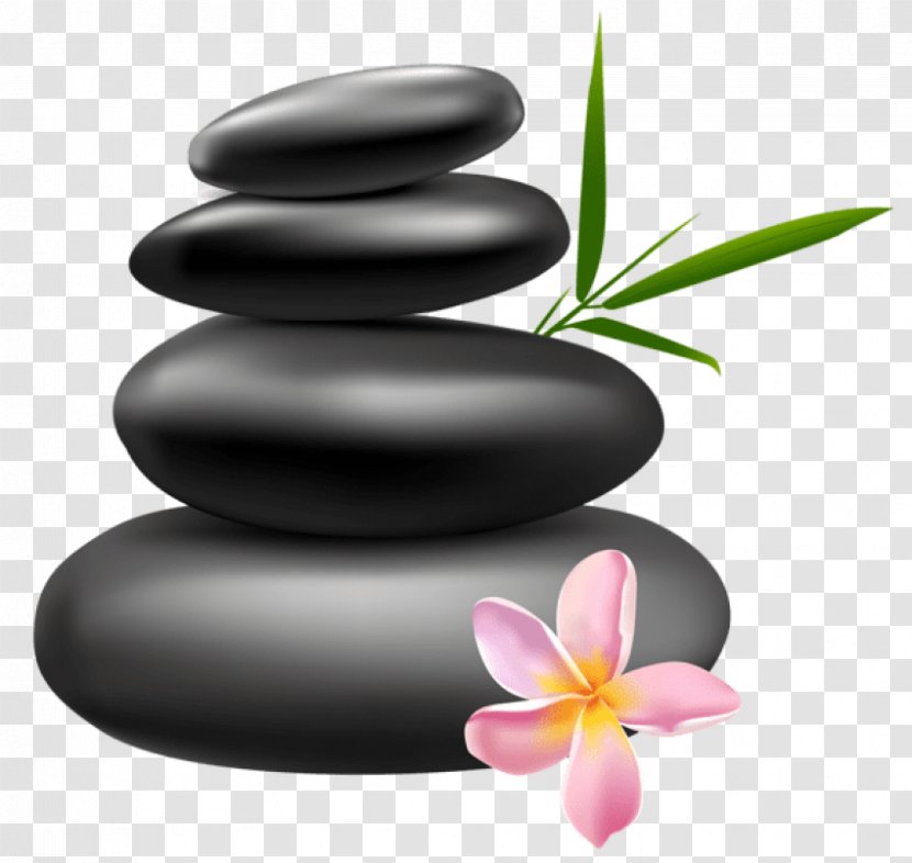 Pebble Frangipani Petal Plant Flower - Zen Transparent PNG