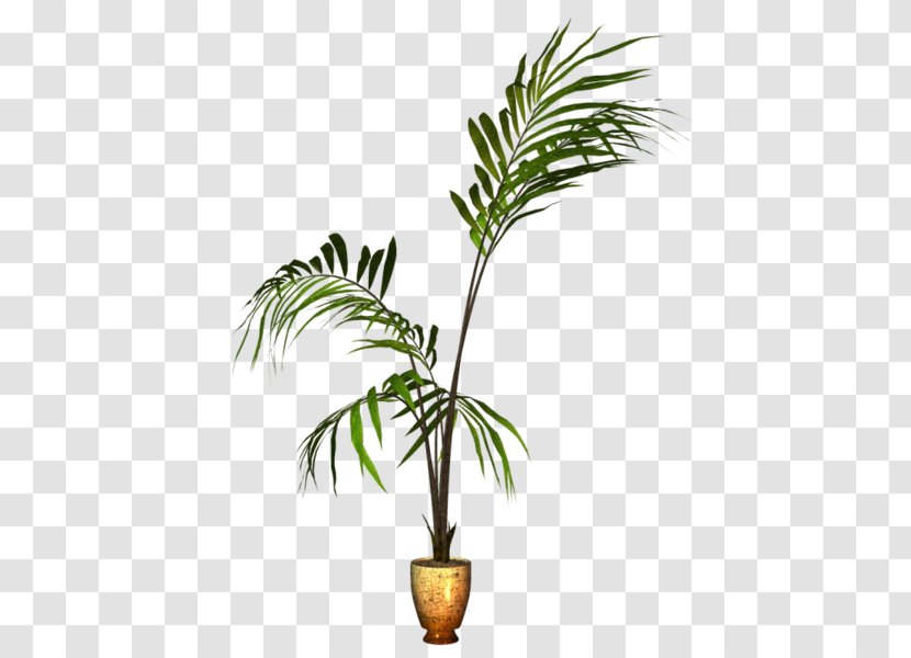 Flowerpot Coconut Houseplant Ornamental Plant - Flowering Transparent PNG