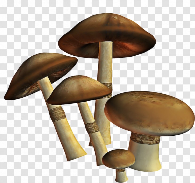 Mushroom Cartoon - Edible - Pleurotus Eryngii Penny Bun Transparent PNG