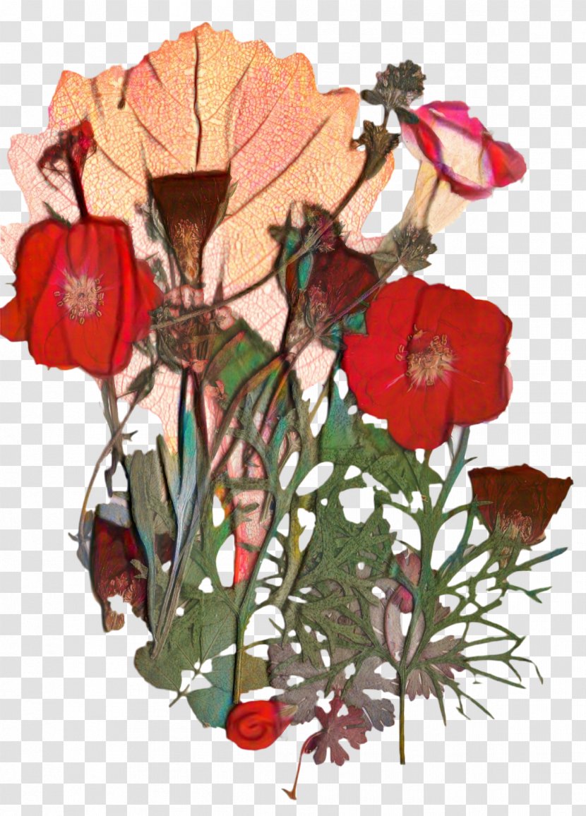 Floral Flower Background - Rose - Perennial Plant Herbaceous Transparent PNG