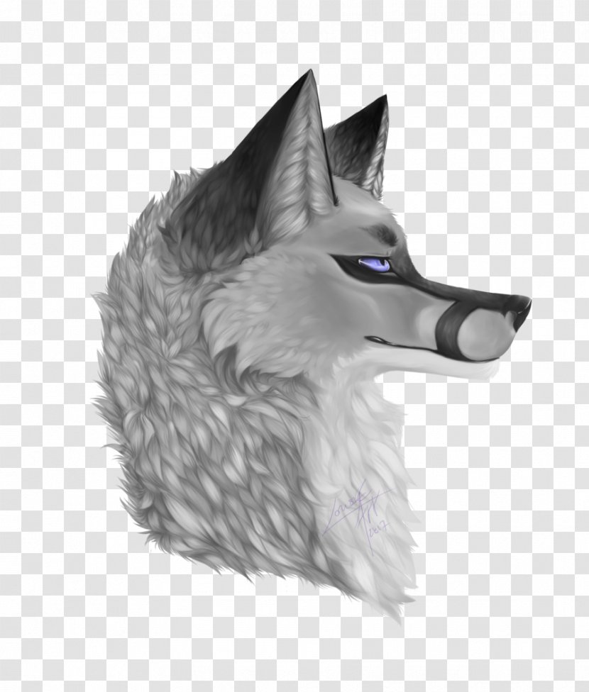 Whiskers Dog Drawing Snout - Cat - You're Looking For It Transparent PNG