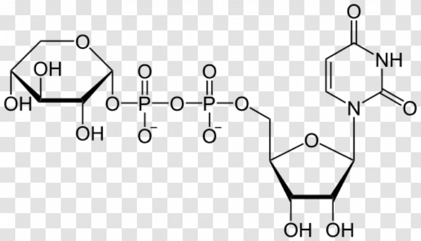 Uridine Triphosphate Diphosphate Glucose Adenosine - Auto Part - Triangle Transparent PNG