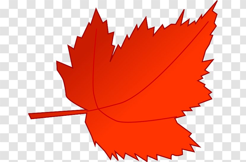 Autumn Leaf Color Clip Art - Red Maple - Tree Timeline Transparent PNG
