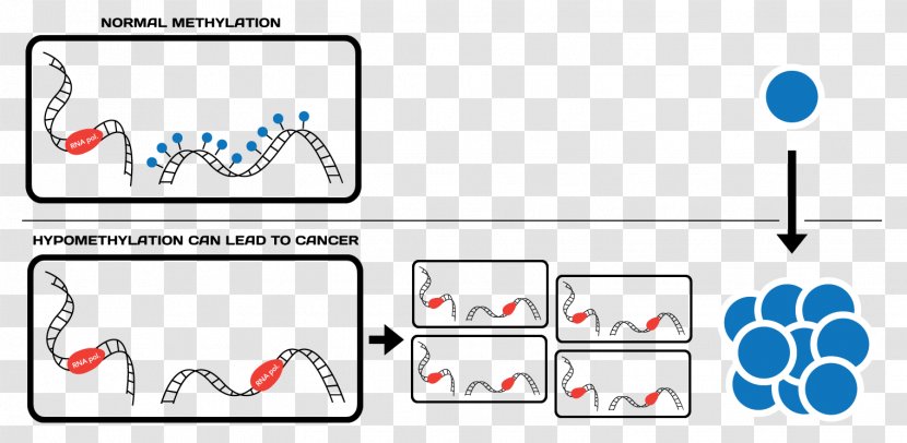 Epigenetics DNA Methylation Gene Expression CRISPR - Cancer Cell Of Globular Pathogen Transparent PNG