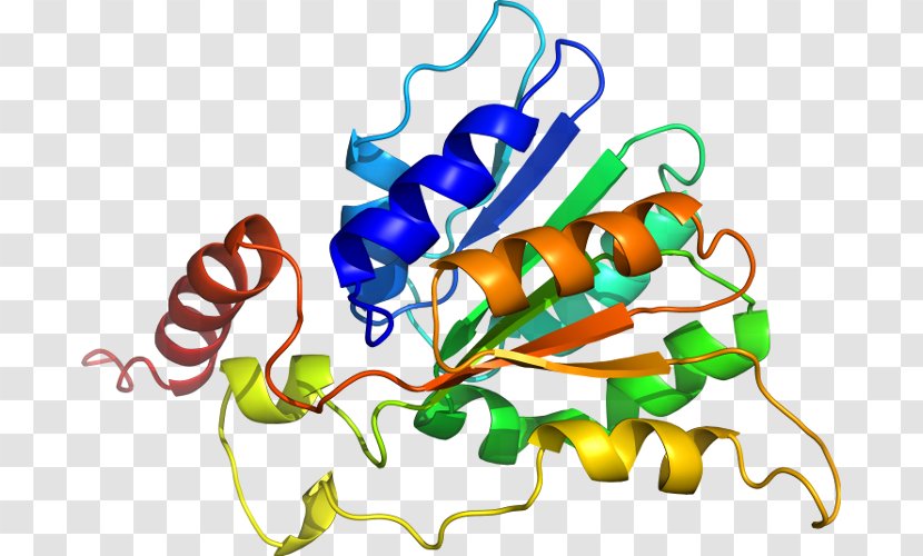 RHOQ Gene CDC42EP2 Protein Microphthalmia-associated Transcription Factor - Microphthalmiaassociated Transparent PNG