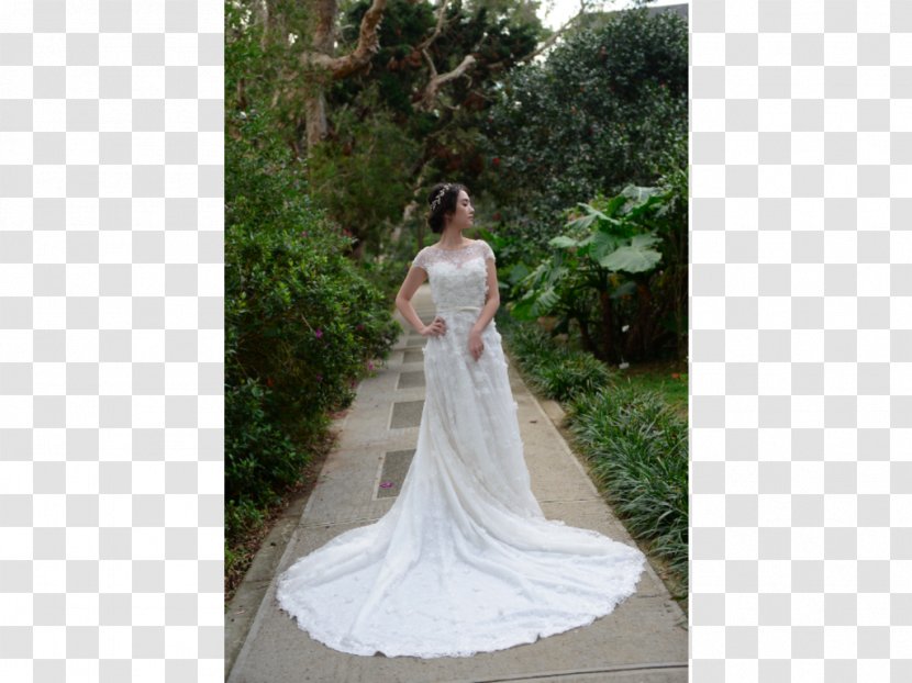 Wedding Dress Gown Fashion Shoulder Transparent PNG