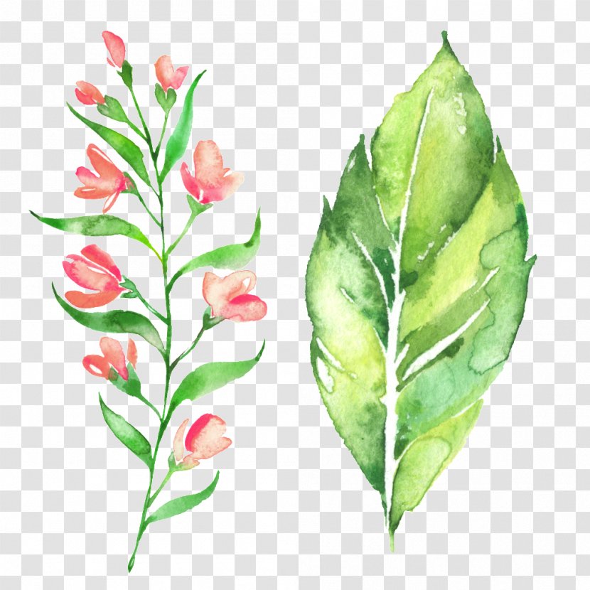 Drawing Flower - Leaf - Hand Painted Watercolor Green Floral Decoration Pattern Transparent PNG
