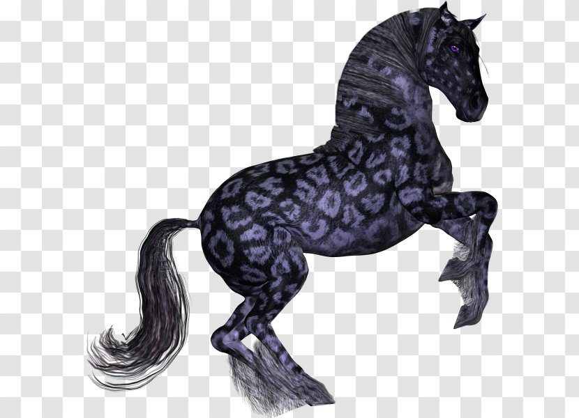 Mane Mustang Pony Friesian Horse American Paint Transparent PNG