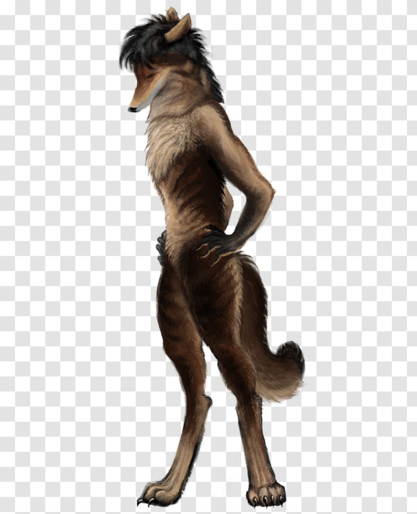 Dog Werewolf Fur Tail - Carnivoran - Scattered Coffee Beans Transparent PNG