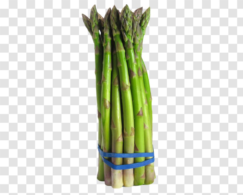 Asparagus Vegetable Broccoli Food Crop Yield - Commodity - Onion Slices Transparent PNG