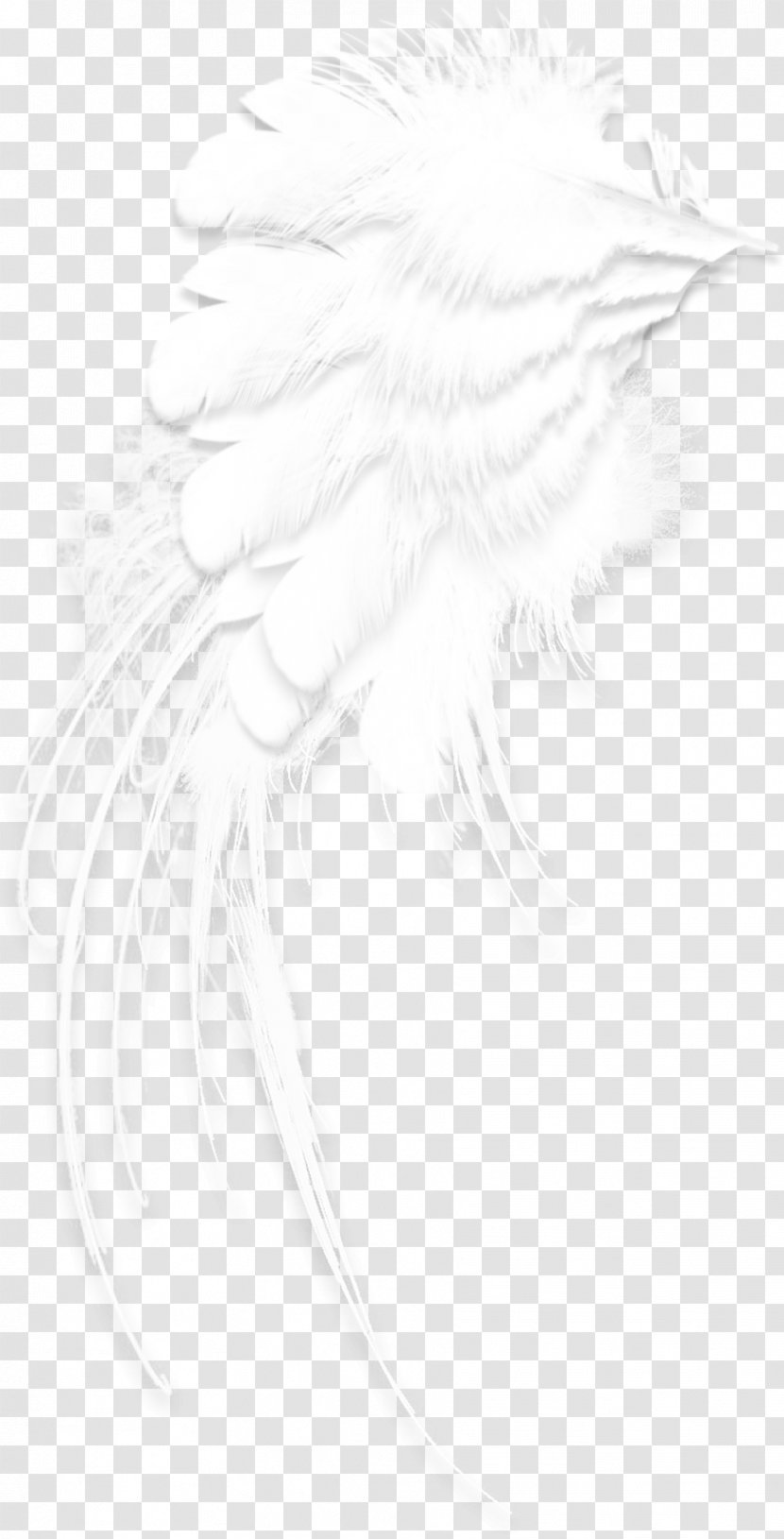 Black And White Drawing Pattern - Bird - Feathers Transparent PNG
