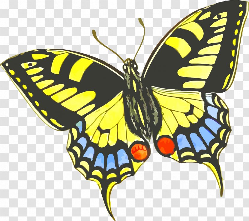 Butterfly Gardening Insect Clip Art - Wing Transparent PNG
