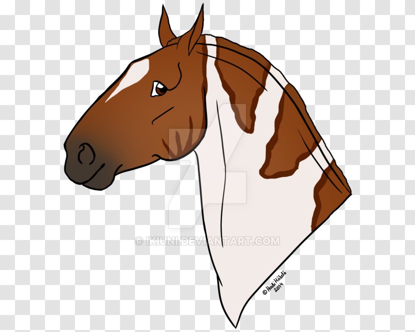 Mule Pony Mustang Stallion Rein - Hyena Transparent PNG