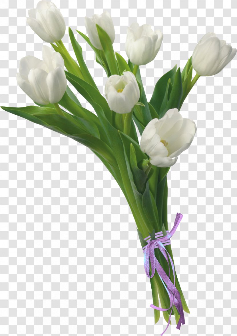 Floral Design Tulip Flower Bouquet Cut Flowers - Bud Transparent PNG
