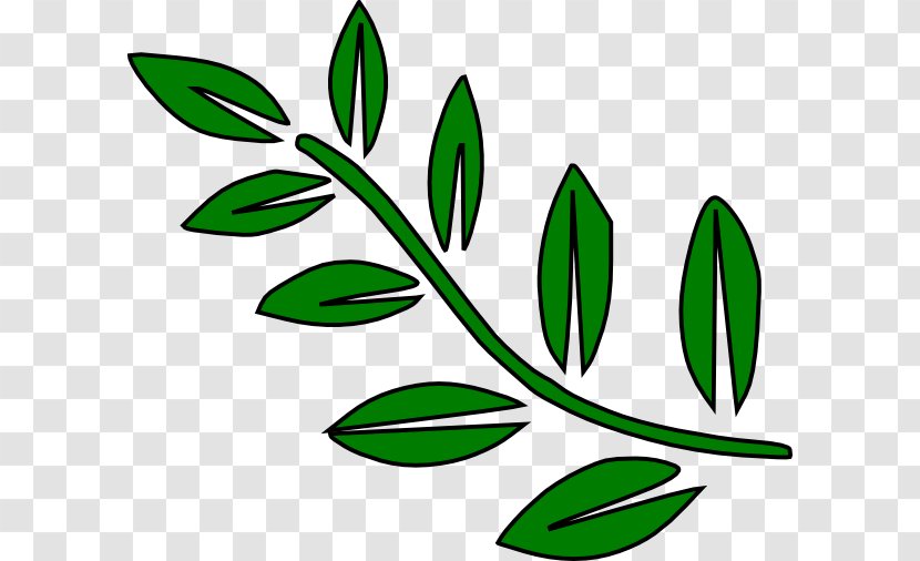 Branch Leaf Tree Clip Art - Line - Branches Cliparts Transparent PNG