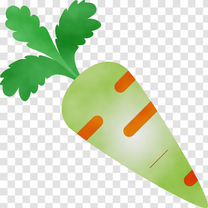 Green Leaf Carrot Plant Vegetable Transparent PNG