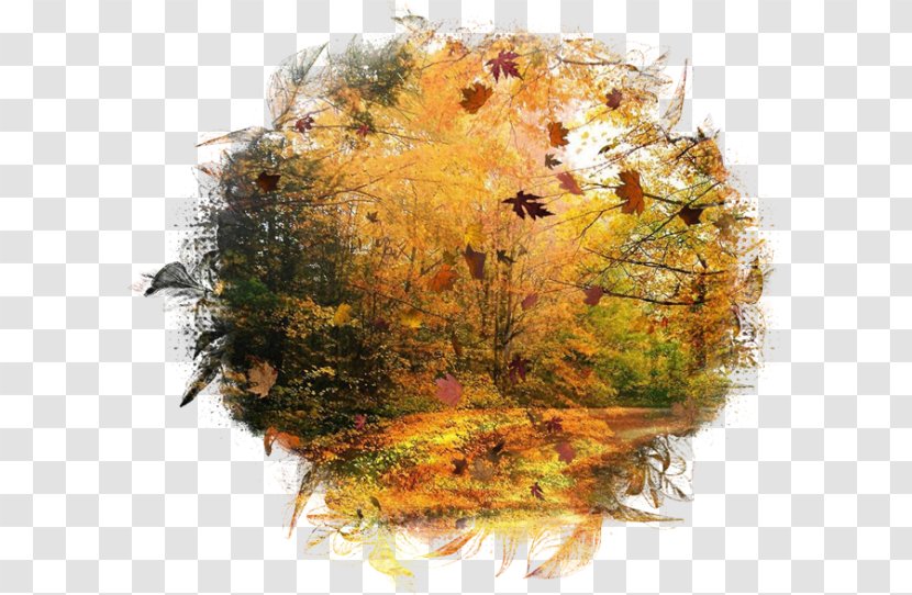 Autumn Landscape Painting Season Leaf - Summer Transparent PNG