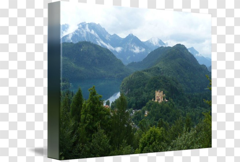 Mount Scenery Neuschwanstein Castle Nature Reserve Wilderness - Park Transparent PNG