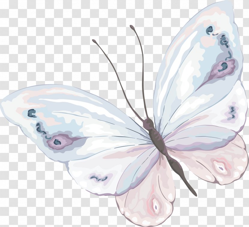 Watercolor Painting Butterfly Photography - Flower Transparent PNG