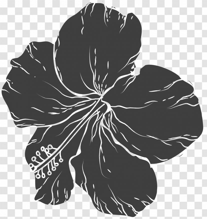 Black And White Flower - Hand-painted Floral Design Transparent PNG